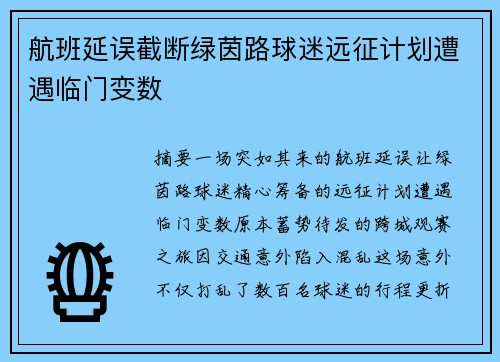 航班延误截断绿茵路球迷远征计划遭遇临门变数